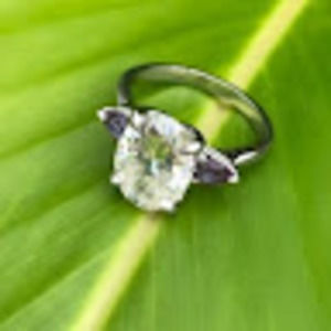 Meet your Posher, Erinn